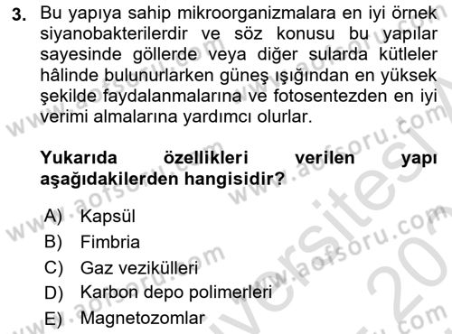 Genel Mikrobiyoloji Dersi 2025 - 2026 Yılı (Vize) Ara Sınav Soruları 3. Soru