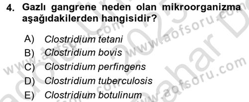 Genel Mikrobiyoloji Dersi 2025 - 2026 Yılı (Vize) Ara Sınav Soruları 4. Soru