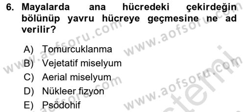 Genel Mikrobiyoloji Dersi 2025 - 2026 Yılı (Vize) Ara Sınav Soruları 6. Soru