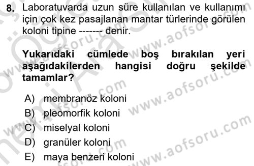 Genel Mikrobiyoloji Dersi 2025 - 2026 Yılı (Vize) Ara Sınav Soruları 8. Soru