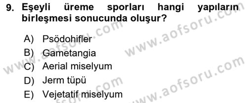 Genel Mikrobiyoloji Dersi 2025 - 2026 Yılı (Vize) Ara Sınav Soruları 9. Soru