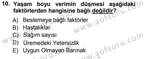Temel Sürü Sağlığı Yönetimi Dersi 2012 - 2013 Yılı (Vize) Ara Sınav Soruları 10. Soru