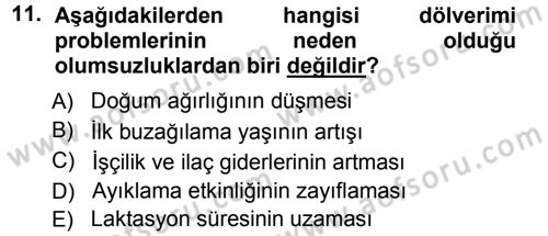 Temel Sürü Sağlığı Yönetimi Dersi Ara Sınavı Deneme Sınav Soruları 11. Soru