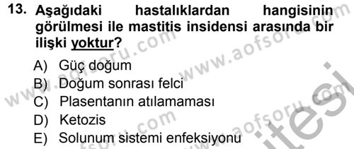 Temel Sürü Sağlığı Yönetimi Dersi 2012 - 2013 Yılı (Vize) Ara Sınav Soruları 13. Soru