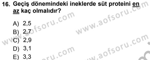 Temel Sürü Sağlığı Yönetimi Dersi 2012 - 2013 Yılı (Vize) Ara Sınav Soruları 16. Soru