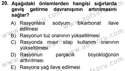 Temel Sürü Sağlığı Yönetimi Dersi Ara Sınavı Deneme Sınav Soruları 20. Soru