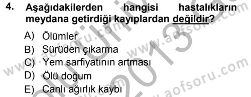 Temel Sürü Sağlığı Yönetimi Dersi Ara Sınavı Deneme Sınav Soruları 4. Soru