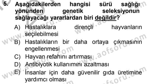 Temel Sürü Sağlığı Yönetimi Dersi 2012 - 2013 Yılı (Vize) Ara Sınav Soruları 5. Soru