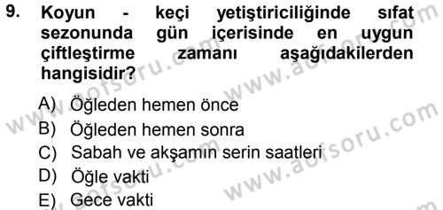 Temel Sürü Sağlığı Yönetimi Dersi 2012 - 2013 Yılı (Vize) Ara Sınav Soruları 9. Soru