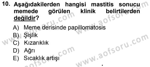 Temel Sürü Sağlığı Yönetimi Dersi 2012 - 2013 Yılı (Final) Dönem Sonu Sınav Soruları 10. Soru