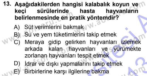 Temel Sürü Sağlığı Yönetimi Dersi 2012 - 2013 Yılı (Final) Dönem Sonu Sınav Soruları 13. Soru