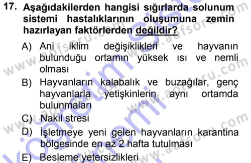Temel Sürü Sağlığı Yönetimi Dersi 2012 - 2013 Yılı (Final) Dönem Sonu Sınav Soruları 17. Soru