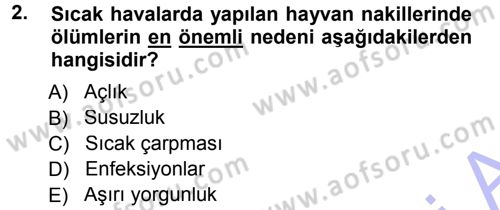 Temel Sürü Sağlığı Yönetimi Dersi 2012 - 2013 Yılı (Final) Dönem Sonu Sınav Soruları 2. Soru