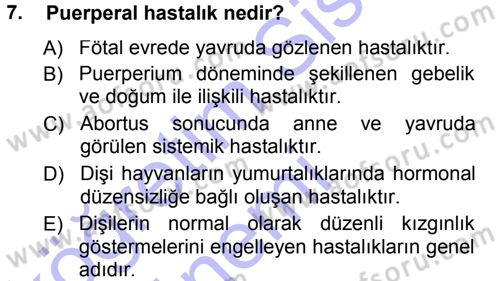 Temel Sürü Sağlığı Yönetimi Dersi 2012 - 2013 Yılı (Final) Dönem Sonu Sınav Soruları 7. Soru