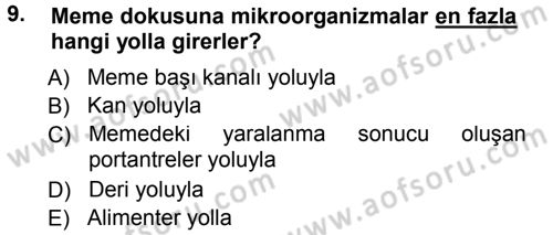 Temel Sürü Sağlığı Yönetimi Dersi 2012 - 2013 Yılı (Final) Dönem Sonu Sınav Soruları 9. Soru
