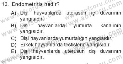 Temel Sürü Sağlığı Yönetimi Dersi 2012 - 2013 Yılı Tek Ders Sınav Soruları 10. Soru