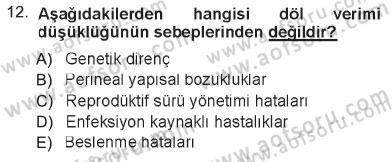 Temel Sürü Sağlığı Yönetimi Dersi 2012 - 2013 Yılı Tek Ders Sınav Soruları 12. Soru