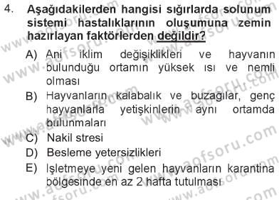 Temel Sürü Sağlığı Yönetimi Dersi 2012 - 2013 Yılı Tek Ders Sınav Soruları 4. Soru