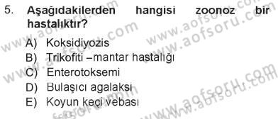 Temel Sürü Sağlığı Yönetimi Dersi 2012 - 2013 Yılı Tek Ders Sınav Soruları 5. Soru