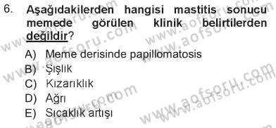 Temel Sürü Sağlığı Yönetimi Dersi 2012 - 2013 Yılı Tek Ders Sınav Soruları 6. Soru