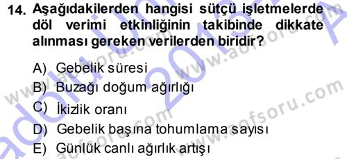 Temel Sürü Sağlığı Yönetimi Dersi Ara Sınavı Deneme Sınav Soruları 14. Soru