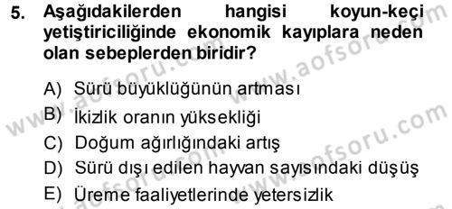 Temel Sürü Sağlığı Yönetimi Dersi Ara Sınavı Deneme Sınav Soruları 5. Soru
