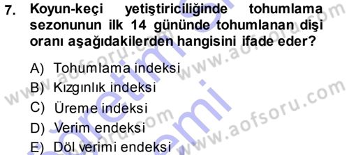 Temel Sürü Sağlığı Yönetimi Dersi Ara Sınavı Deneme Sınav Soruları 7. Soru