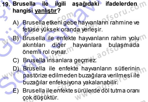 Temel Sürü Sağlığı Yönetimi Dersi 2013 - 2014 Yılı (Final) Dönem Sonu Sınavı 19. Soru