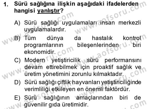 Temel Sürü Sağlığı Yönetimi Dersi 2014 - 2015 Yılı (Vize) Ara Sınav Soruları 1. Soru
