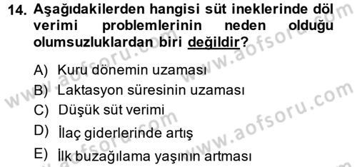 Temel Sürü Sağlığı Yönetimi Dersi 2014 - 2015 Yılı (Vize) Ara Sınav Soruları 14. Soru
