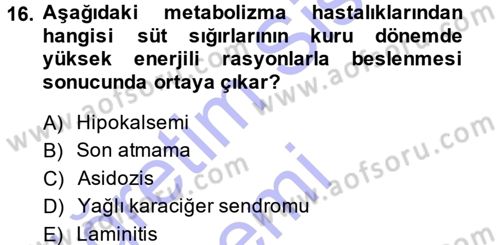 Temel Sürü Sağlığı Yönetimi Dersi 2014 - 2015 Yılı (Vize) Ara Sınav Soruları 16. Soru