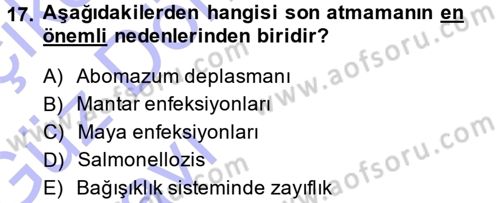 Temel Sürü Sağlığı Yönetimi Dersi 2014 - 2015 Yılı (Vize) Ara Sınav Soruları 17. Soru