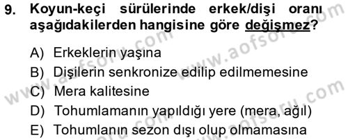 Temel Sürü Sağlığı Yönetimi Dersi 2014 - 2015 Yılı (Vize) Ara Sınav Soruları 9. Soru
