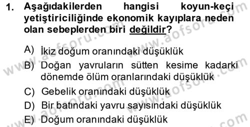 Temel Sürü Sağlığı Yönetimi Dersi 2014 - 2015 Yılı (Final) Dönem Sonu Sınav Soruları 1. Soru