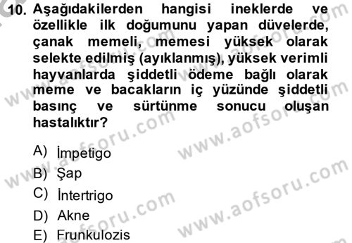 Temel Sürü Sağlığı Yönetimi Dersi 2014 - 2015 Yılı (Final) Dönem Sonu Sınavı 10. Soru