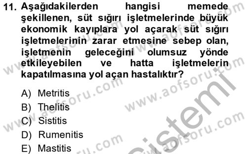 Temel Sürü Sağlığı Yönetimi Dersi 2014 - 2015 Yılı (Final) Dönem Sonu Sınav Soruları 11. Soru