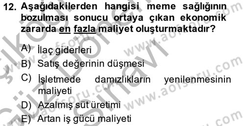Temel Sürü Sağlığı Yönetimi Dersi 2014 - 2015 Yılı (Final) Dönem Sonu Sınav Soruları 12. Soru