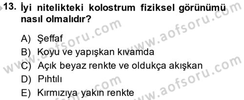 Temel Sürü Sağlığı Yönetimi Dersi 2014 - 2015 Yılı (Final) Dönem Sonu Sınavı 13. Soru