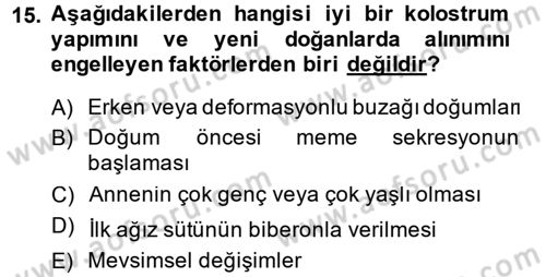 Temel Sürü Sağlığı Yönetimi Dersi 2014 - 2015 Yılı (Final) Dönem Sonu Sınav Soruları 15. Soru