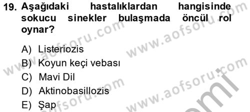 Temel Sürü Sağlığı Yönetimi Dersi 2014 - 2015 Yılı (Final) Dönem Sonu Sınav Soruları 19. Soru