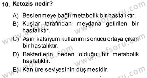 Temel Sürü Sağlığı Yönetimi Dersi 2014 - 2015 Yılı Tek Ders Sınavı 10. Soru