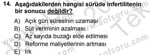 Temel Sürü Sağlığı Yönetimi Dersi 2014 - 2015 Yılı Tek Ders Sınavı 14. Soru