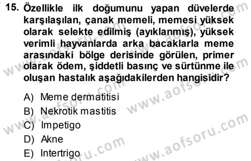 Temel Sürü Sağlığı Yönetimi Dersi 2014 - 2015 Yılı Tek Ders Sınavı 15. Soru