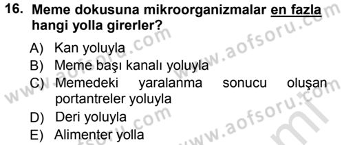 Temel Sürü Sağlığı Yönetimi Dersi 2014 - 2015 Yılı Tek Ders Sınavı 16. Soru