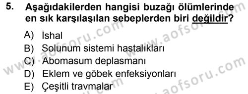 Temel Sürü Sağlığı Yönetimi Dersi 2014 - 2015 Yılı Tek Ders Sınavı 5. Soru