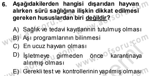 Temel Sürü Sağlığı Yönetimi Dersi 2014 - 2015 Yılı Tek Ders Sınavı 6. Soru