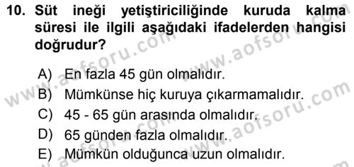 Temel Sürü Sağlığı Yönetimi Dersi 2015 - 2016 Yılı (Vize) Ara Sınav Soruları 10. Soru