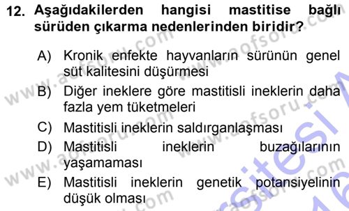 Temel Sürü Sağlığı Yönetimi Dersi 2015 - 2016 Yılı (Vize) Ara Sınav Soruları 12. Soru