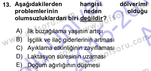 Temel Sürü Sağlığı Yönetimi Dersi 2015 - 2016 Yılı (Vize) Ara Sınav Soruları 13. Soru