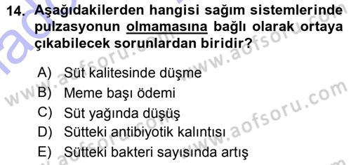 Temel Sürü Sağlığı Yönetimi Dersi 2015 - 2016 Yılı (Vize) Ara Sınav Soruları 14. Soru